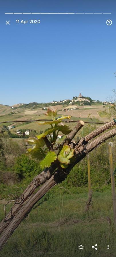 B&B Monteguzzo Cigognola Bagian luar foto